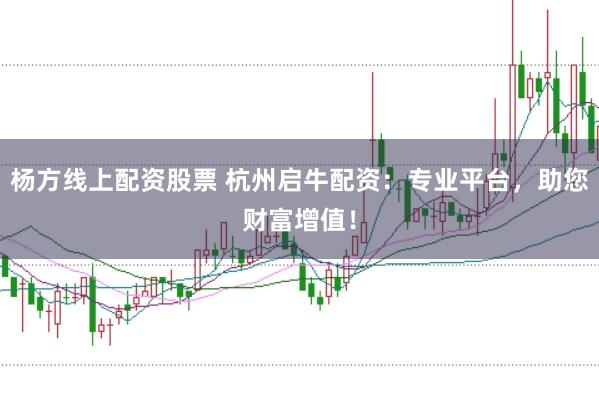 杨方线上配资股票 杭州启牛配资：专业平台，助您财富增值！