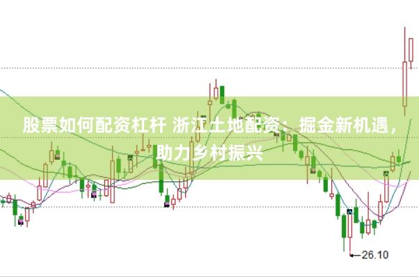 股票如何配资杠杆 浙江土地配资：掘金新机遇，助力乡村振兴