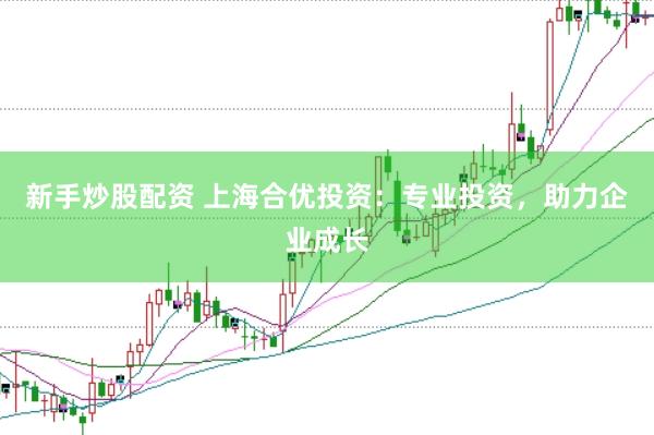 新手炒股配资 上海合优投资：专业投资，助力企业成长