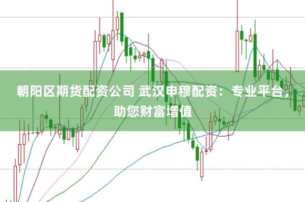 朝阳区期货配资公司 武汉申穆配资：专业平台，助您财富增值
