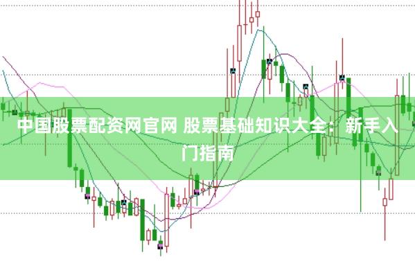 中国股票配资网官网 股票基础知识大全:新手入门指南