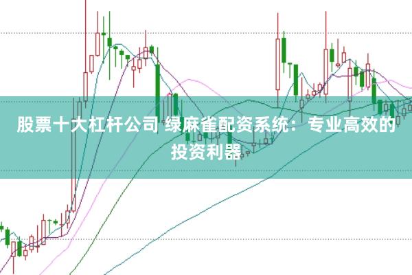 股票十大杠杆公司 绿麻雀配资系统：专业高效的投资利器