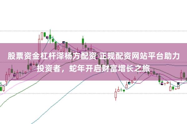 股票资金杠杆泽杨方配资 正规配资网站平台助力投资者,蛇年开启财富增长之旅
