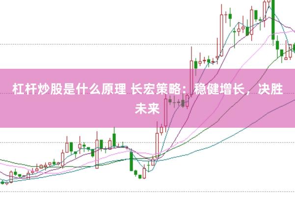 杠杆炒股是什么原理 长宏策略:稳健增长,决胜未来