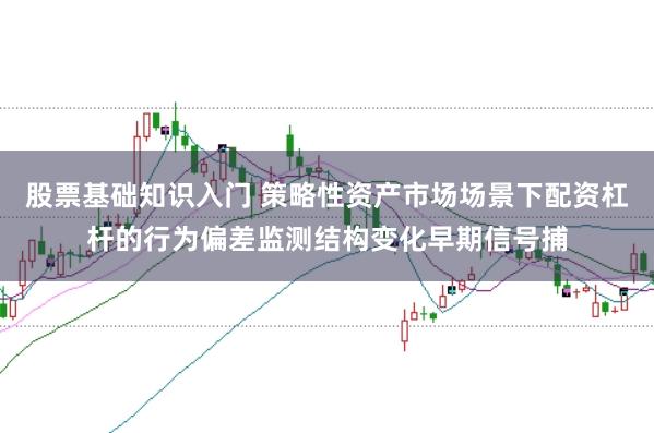 股票基础知识入门 策略性资产市场场景下配资杠杆的行为偏差监测结构变化早期信号捕