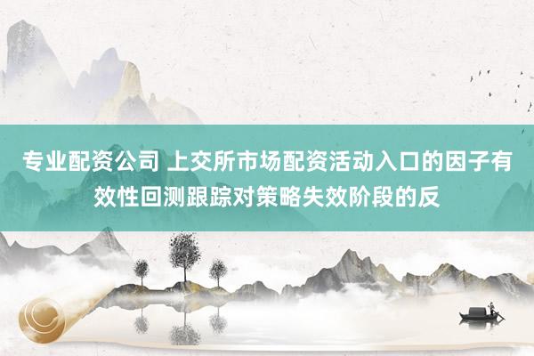 专业配资公司 上交所市场配资活动入口的因子有效性回测跟踪对策略失效阶段的反