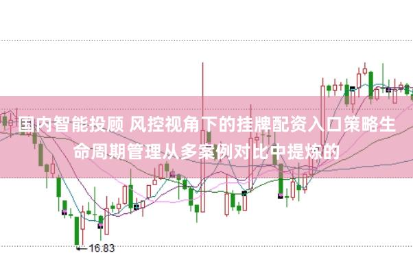 国内智能投顾 风控视角下的挂牌配资入口策略生命周期管理从多案例对比中提炼的