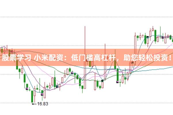 股票学习 小米配资：低门槛高杠杆，助您轻松投资！