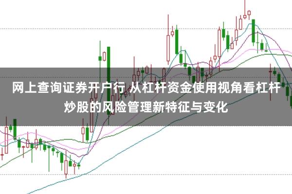 网上查询证券开户行 从杠杆资金使用视角看杠杆炒股的风险管理新特征与变化