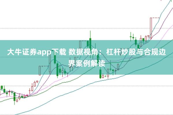 大牛证券app下载 数据视角：杠杆炒股与合规边界案例解读