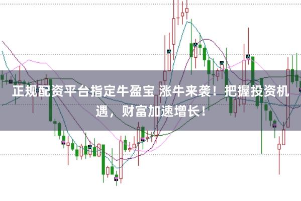 正规配资平台指定牛盈宝 涨牛来袭！把握投资机遇，财富加速增长！