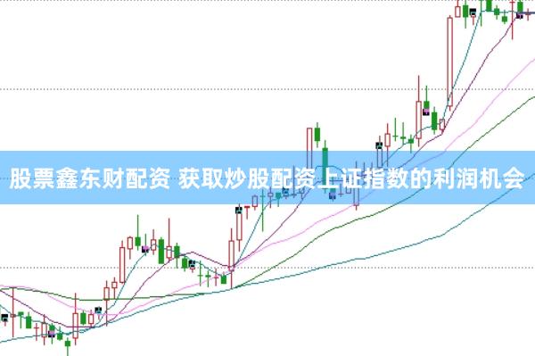 股票鑫东财配资 获取炒股配资上证指数的利润机会