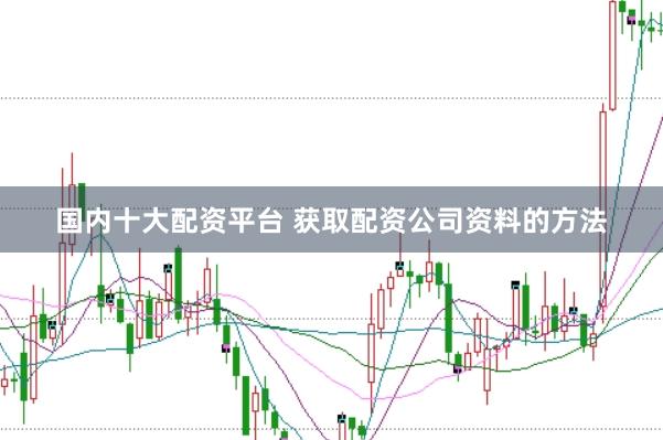 国内十大配资平台 获取配资公司资料的方法