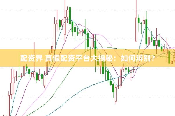 配资界 真假配资平台大揭秘:如何辨别?