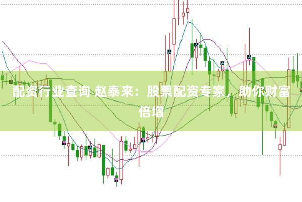 配资行业查询 赵泰来：股票配资专家，助你财富倍增