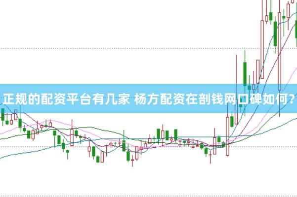 正规的配资平台有几家 杨方配资在剖钱网口碑如何？
