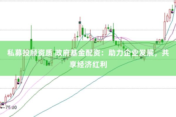 私募投顾资质 政府基金配资：助力企业发展，共享经济红利