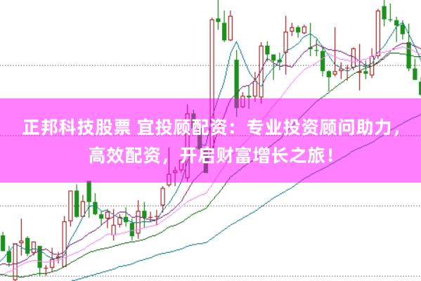 正邦科技股票 宜投顾配资：专业投资顾问助力，高效配资，开启财富增长之旅！
